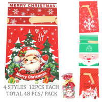 48PCS CHRISTMAS GIFT BAGS SET